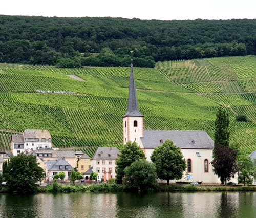 Mosel Radweg Etappe 5: Piesport - Bernkastel-Kues