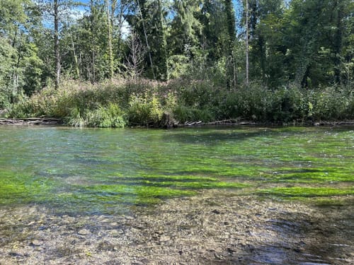 Von Gauting durchs Würmtal