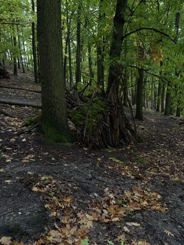 Rund um Clodra und Buchwald