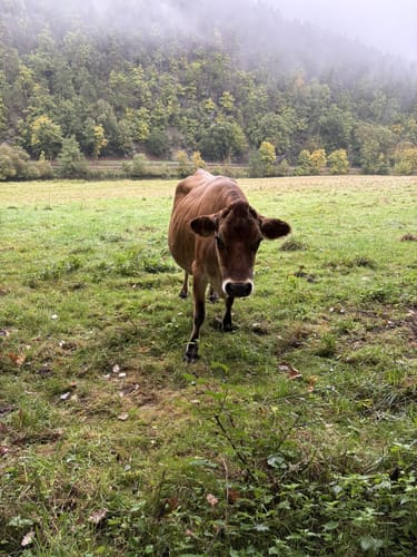 Rund um Clodra und Buchwald