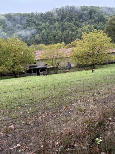 Rund um Clodra und Buchwald