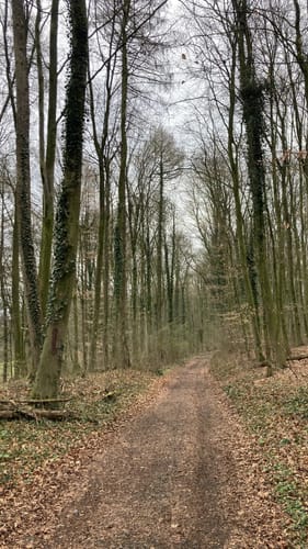 Longinusturm Rundweg A5