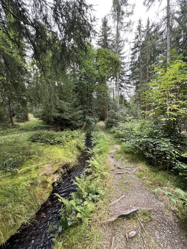 Greifensteine ab Ehrenfriedersdorf