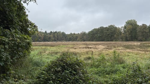 Ellerhoop um den Borsteler Wald