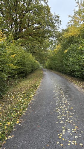Ellerhoop um den Borsteler Wald