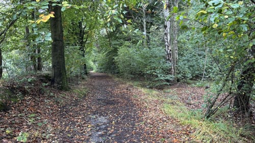 Ellerhoop um den Borsteler Wald