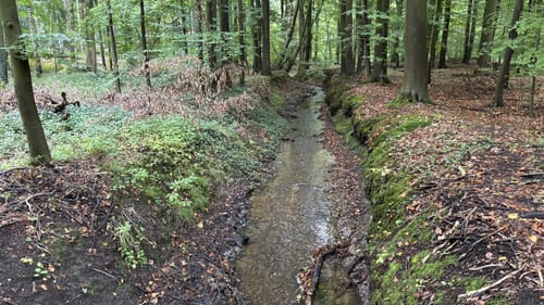 Ellerhoop um den Borsteler Wald