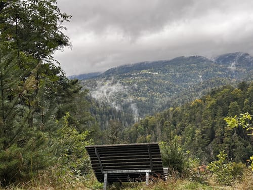 Rappenfelsensteig (Genießerpfad)