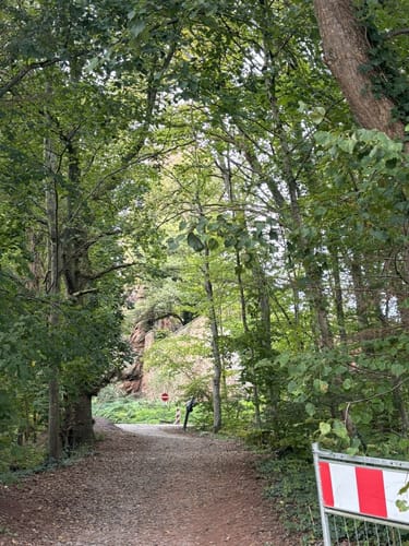 Erlenbach - Burg Berwartstein - Seehofweiher