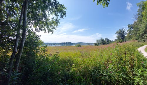 Lechsee Rundweg