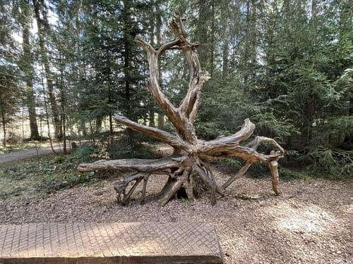 Evernius' Naturerlebnispfad Hinterzarten