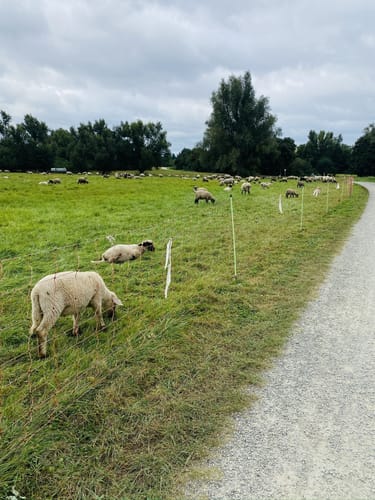 Karlsaue und Fuldaaue