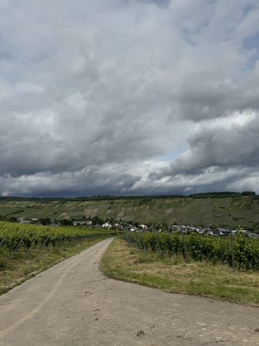 Seitensprung Mehringer Schweiz