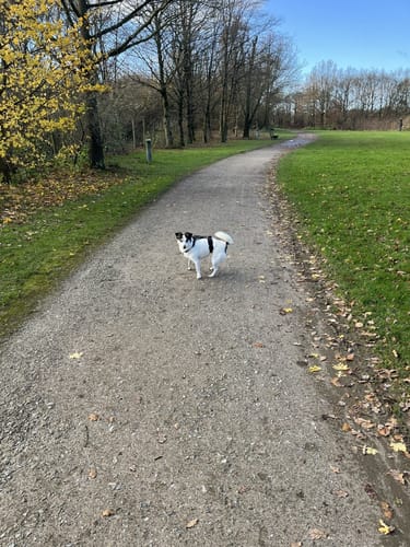 Durch den Nordsternpark