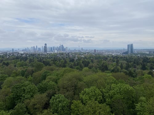 In den Frankfurter Stadtwald