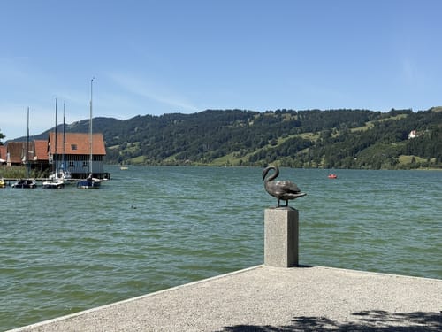 Vom Alpsee zur Siedelalpe