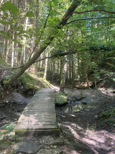 Hörschbachwasserfälle