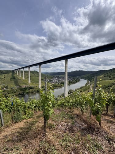 Von Ürzig zum Leizenberg und dem Moselblick