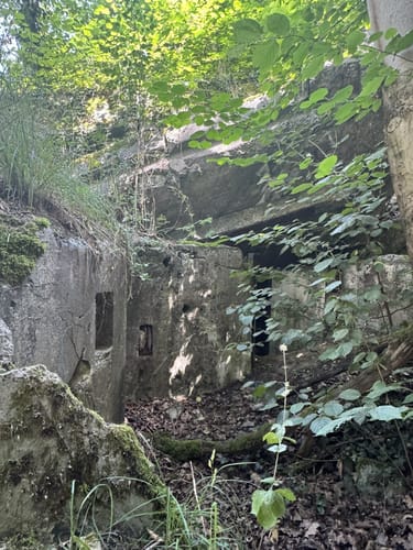 Flößerweg: Von Besigheim nach Bietigheim-Bissingen