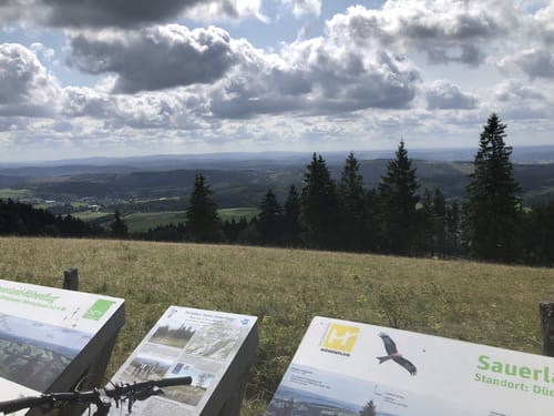 Auf den Kahlen Pön