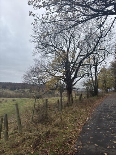 Rasenallee - Herkules