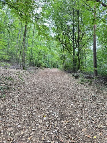 Traubenpfad 5 (Ahrtal)