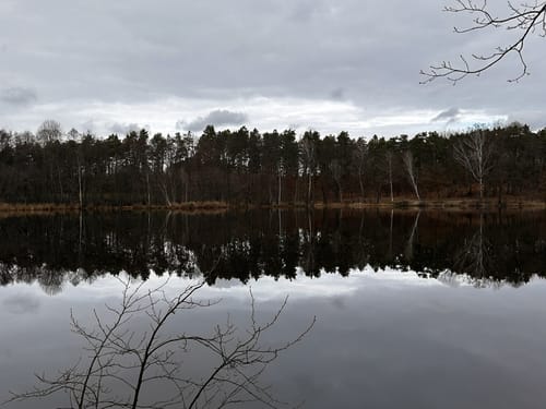 NSG Köthener Heideseen