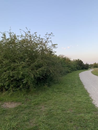 Am Hollerner See