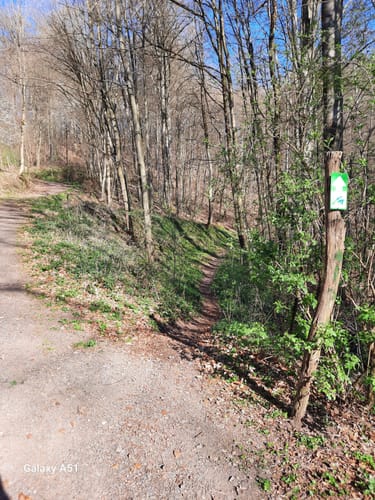 Hüttenwanderweg (Premiumwanderweg)