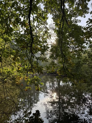 GrünGürtel Rundwanderweg Frankfurt