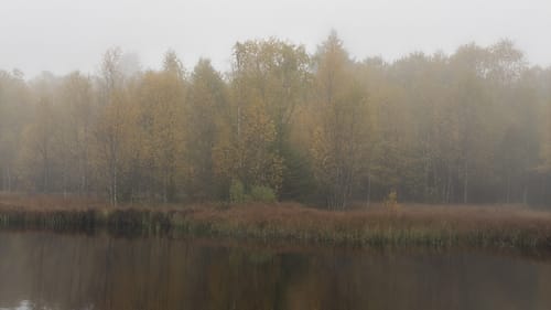 Kaskadenschlucht und Rotes Moor ab Sandberg