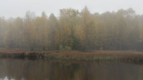 Kaskadenschlucht und Rotes Moor ab Sandberg