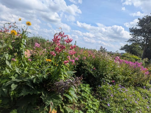 Wandern rund um Eckernförde-Süd
