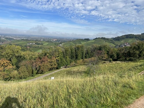 Alde Gott Panoramarunde (Genießerpfad)