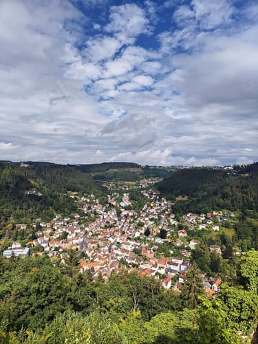 Von Tierheim zum Hohenschramberg