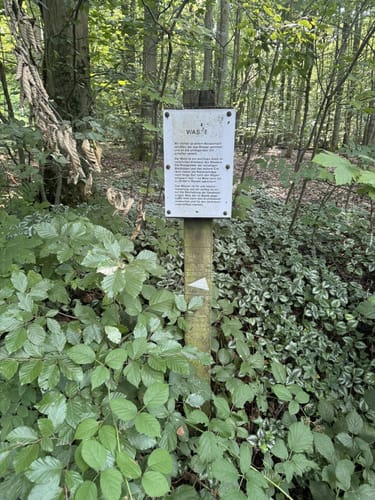 Margarethenhöhe - Großer Ölberg