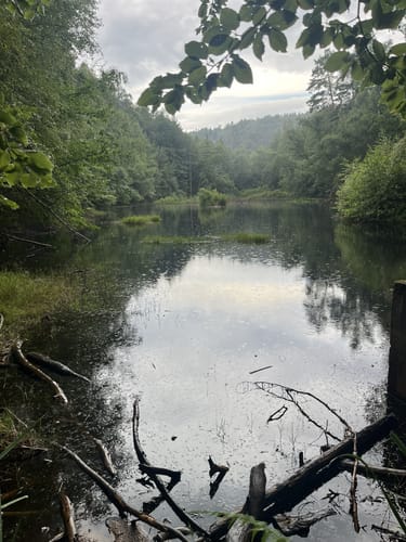 Ganerbenweg (Premiumwanderweg)