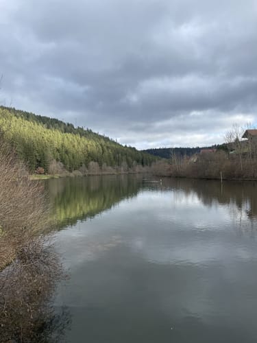 Um die Nagoldtalsperre