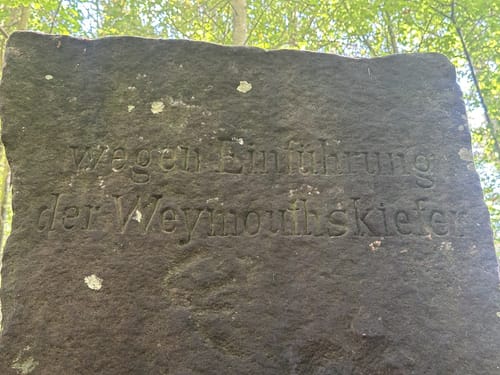 Bartelsberg - Rothenberg