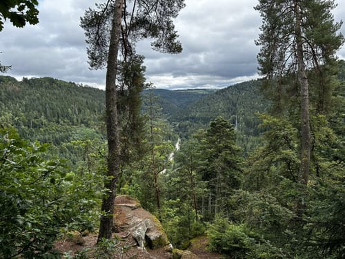Wolfsgrube (Premiumwanderweg)