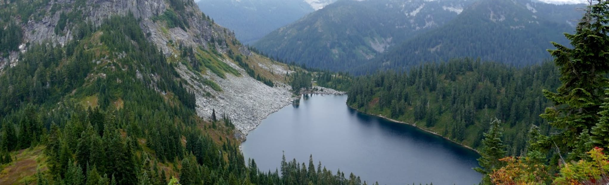 Mount McCausland Trail 495 Reviews, Map Washington AllTrails