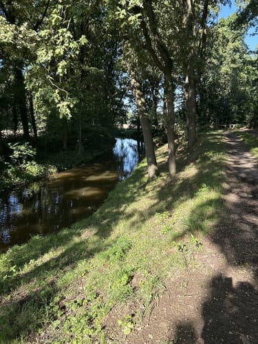 Dorperheide - Klein Vink - Walbeck