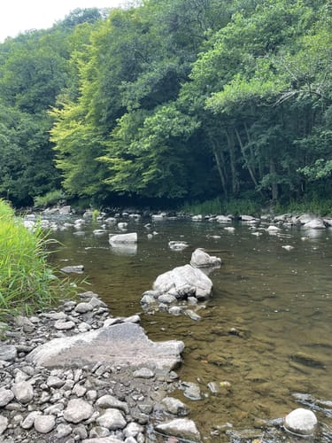 Nohener Naheschleife (Premiumwanderweg)