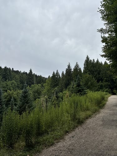 Vom Schlosspark zur Wendt Hütte