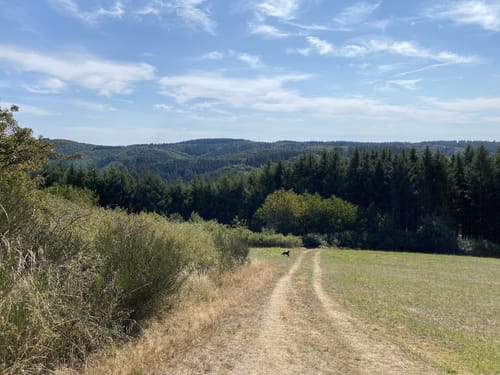 Wanderather (Traumpfad)