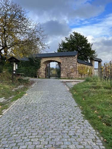 Hattenheim Rundweg