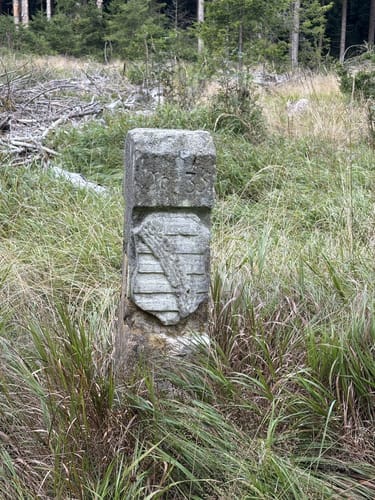 Rennsteig Etappe 6: Friedrichshöhe - Spechtsbrunn