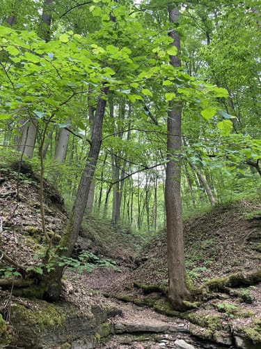 Rundweg Jena