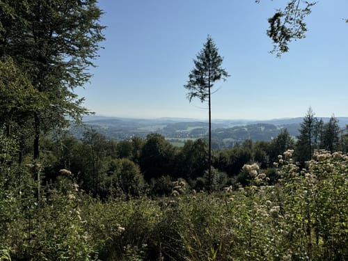 Hermannsdenkmal und Grotenburg