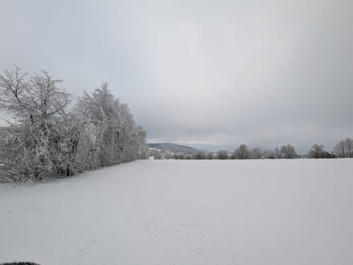 Rundloipe H6 Schwedenwall